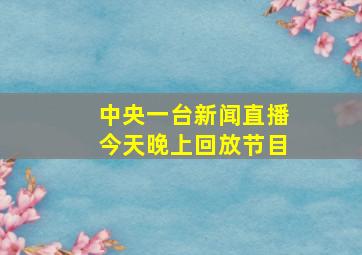 中央一台新闻直播今天晚上回放节目