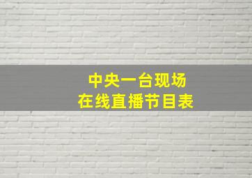 中央一台现场在线直播节目表