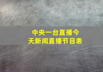 中央一台直播今天新闻直播节目表