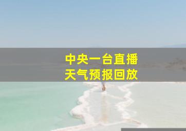 中央一台直播天气预报回放