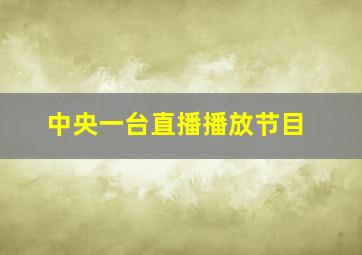 中央一台直播播放节目