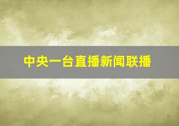 中央一台直播新闻联播