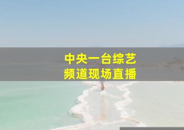 中央一台综艺频道现场直播