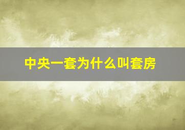 中央一套为什么叫套房