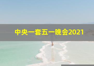 中央一套五一晚会2021