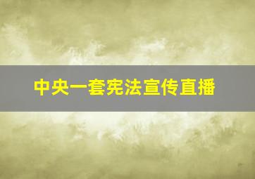 中央一套宪法宣传直播