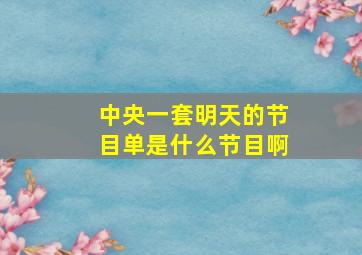 中央一套明天的节目单是什么节目啊