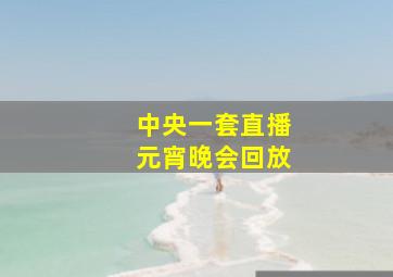 中央一套直播元宵晚会回放