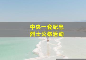 中央一套纪念烈士公祭活动