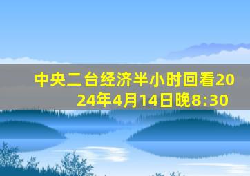 中央二台经济半小时回看2024年4月14日晚8:30