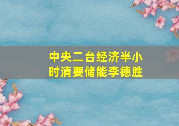 中央二台经济半小时清要储能李德胜