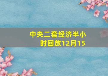 中央二套经济半小时回放12月15