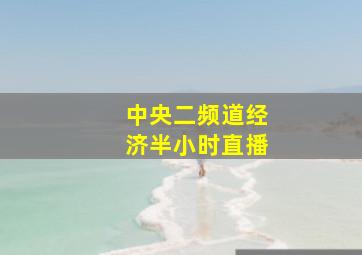 中央二频道经济半小时直播