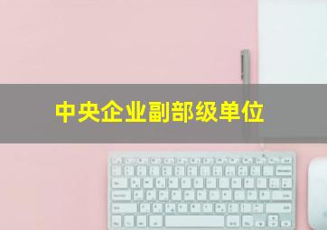 中央企业副部级单位