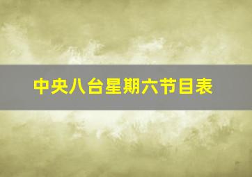 中央八台星期六节目表