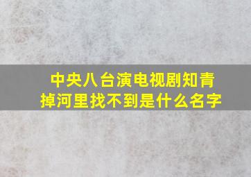 中央八台演电视剧知青掉河里找不到是什么名字