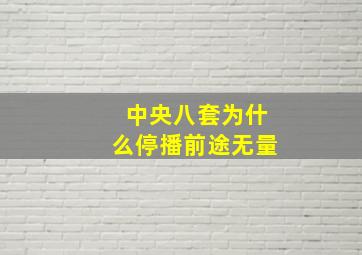 中央八套为什么停播前途无量