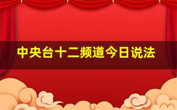 中央台十二频道今日说法