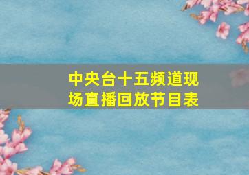 中央台十五频道现场直播回放节目表