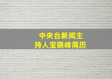 中央台新闻主持人宝晓峰简历