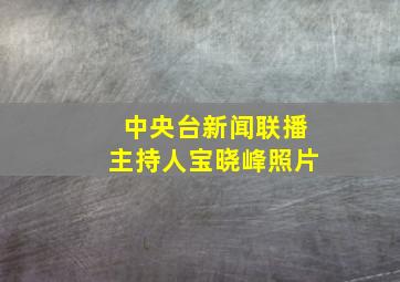 中央台新闻联播主持人宝晓峰照片