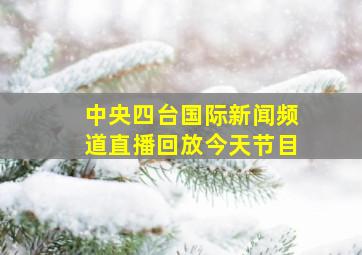 中央四台国际新闻频道直播回放今天节目