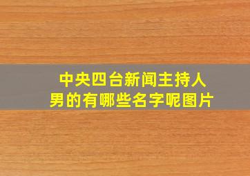 中央四台新闻主持人男的有哪些名字呢图片