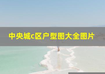 中央城c区户型图大全图片