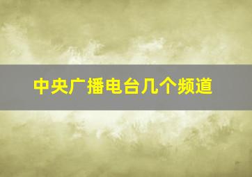 中央广播电台几个频道