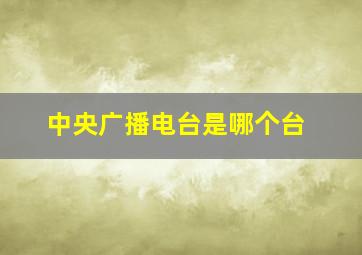 中央广播电台是哪个台