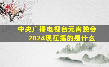 中央广播电视台元宵晚会2024现在播的是什么