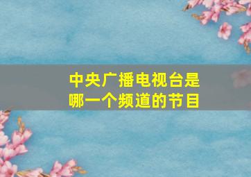 中央广播电视台是哪一个频道的节目