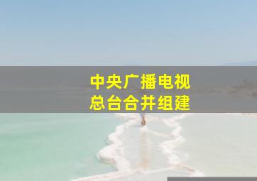 中央广播电视总台合并组建