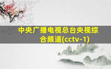 中央广播电视总台央视综合频道(cctv-1)