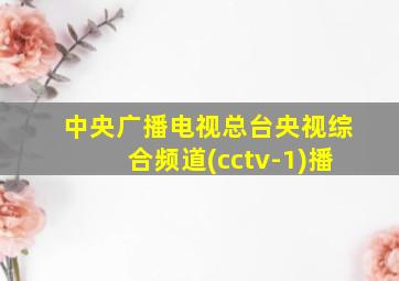 中央广播电视总台央视综合频道(cctv-1)播