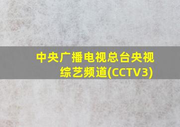 中央广播电视总台央视综艺频道(CCTV3)