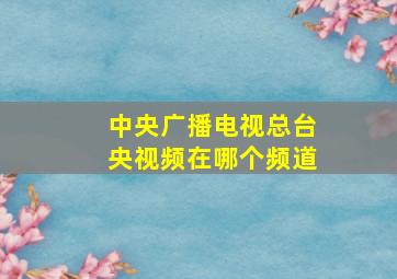 中央广播电视总台央视频在哪个频道