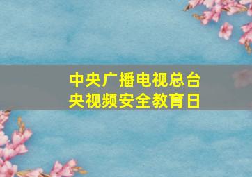 中央广播电视总台央视频安全教育日