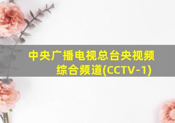 中央广播电视总台央视频综合频道(CCTV-1)