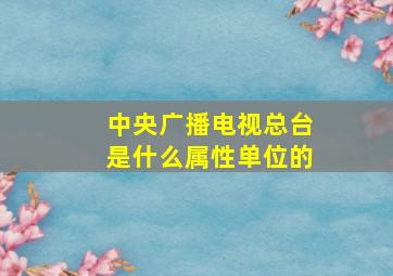 中央广播电视总台是什么属性单位的