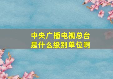 中央广播电视总台是什么级别单位啊