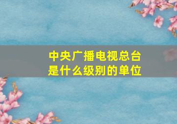 中央广播电视总台是什么级别的单位