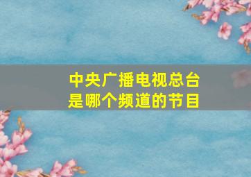 中央广播电视总台是哪个频道的节目