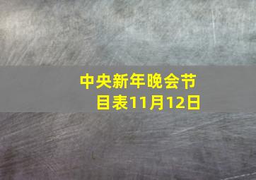 中央新年晚会节目表11月12日