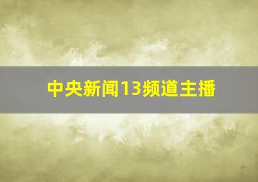 中央新闻13频道主播