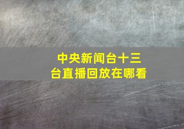 中央新闻台十三台直播回放在哪看