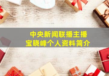 中央新闻联播主播宝晓峰个人资料简介