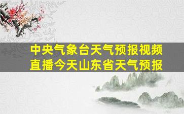 中央气象台天气预报视频直播今天山东省天气预报