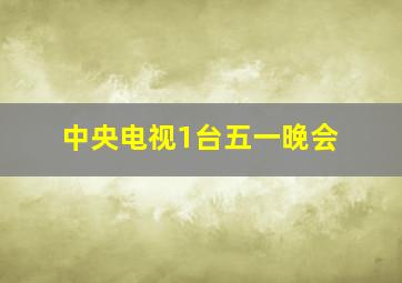 中央电视1台五一晚会