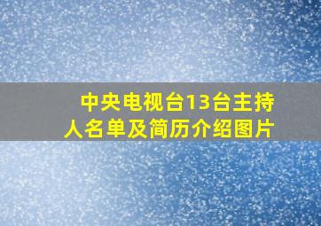 中央电视台13台主持人名单及简历介绍图片